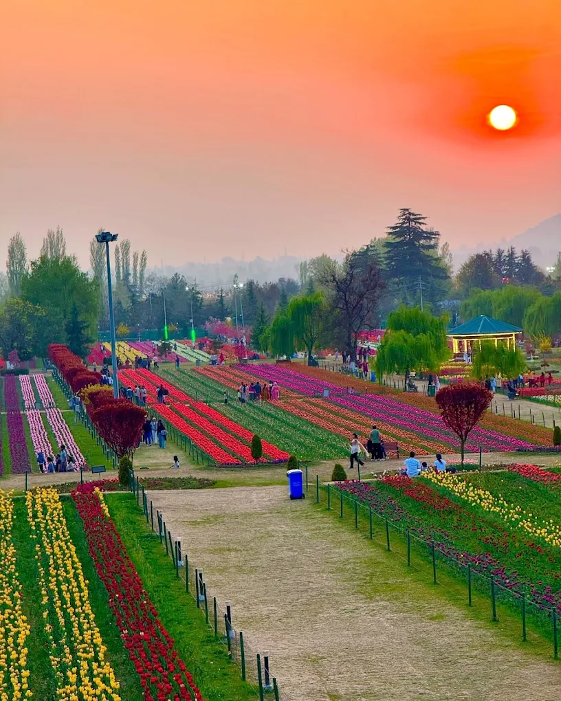 5N6D KASHMIR TOUR PACKAGE