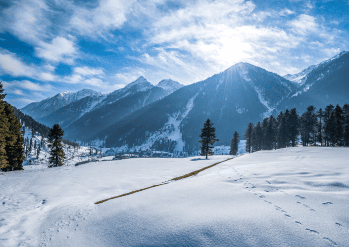 Classic Kashmir Leisure Tour from Jammu (4N/5D)