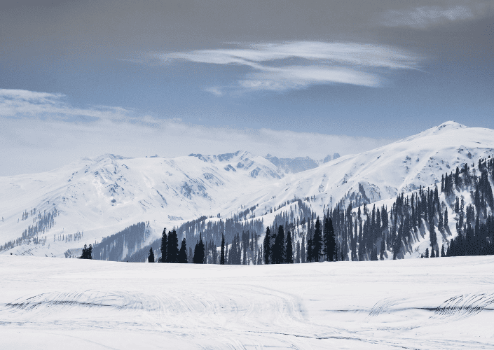 Kashmir Scenic Tour (4N/5D)